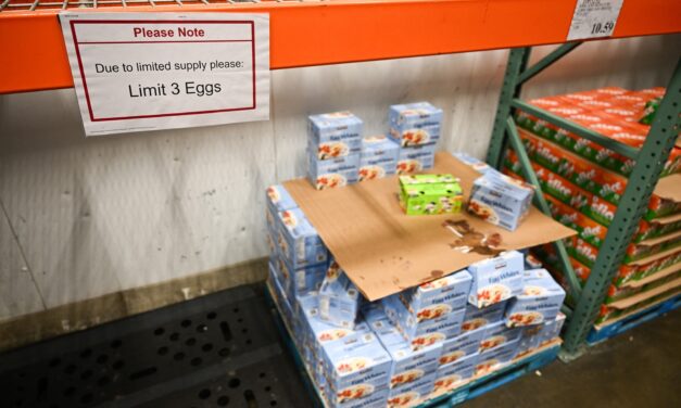 Grocery stores limit egg purchases, thefts increase as bird flu spreads across US