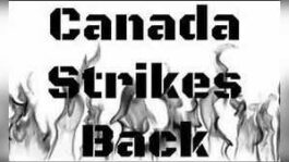 from-airports-to-gas-stations-canada-strikes-back-americans-feel-the-heat-as-tourists-ditch-u-s-trips-in-trade-war-fallout.jpeg