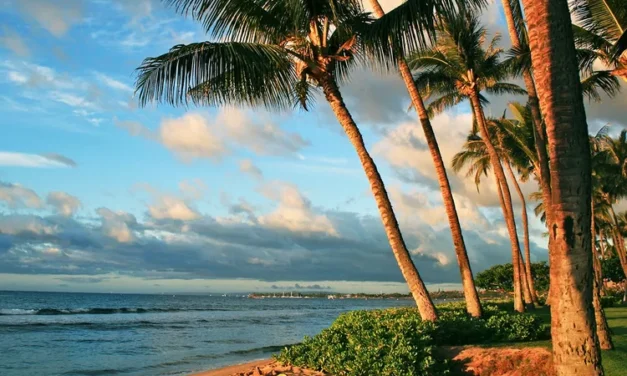 The No. 1 Trending Summer Vacation Spot in the U.S. Has One of the Best Beaches in America