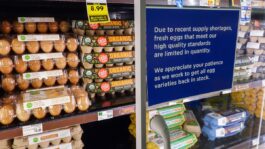 grocery_store_supermarket_eggs_egg_shortages_bird_flu_2192208914.jpeg