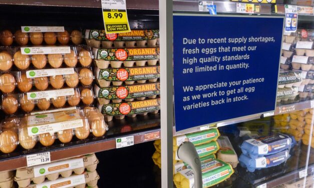 Grocery stores impose egg limits as prices soar and supplies shrink
