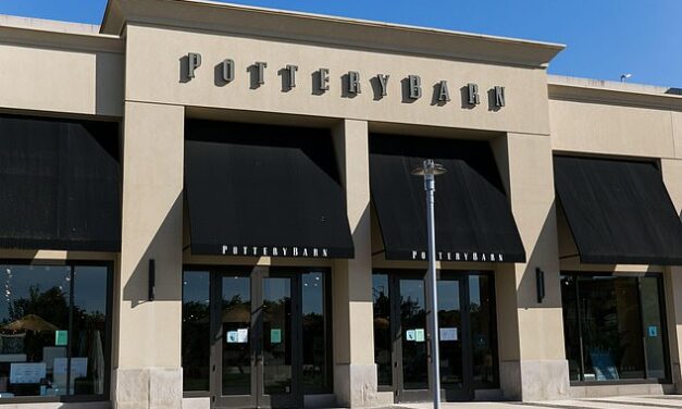 Share or comment on this article: Pottery Barn fans race to buy limited edition pieces from new collaboration