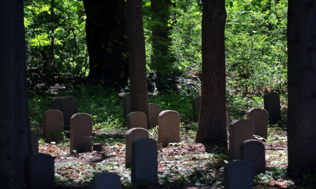 Avoidable deaths in US rose for over a decade, in contrast with peer nations, Brown and Harvard researchers say