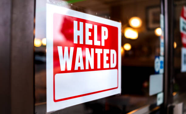 Jobs Report Reflects a ‘Steady but Cautious’ Labor Market