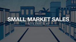 Small Market Sales: Introduction