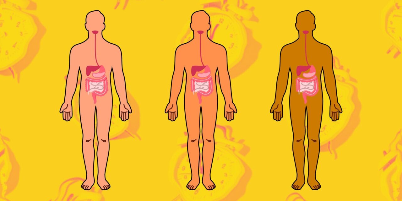 New Research Shows Why Eating Before Bed May Not Be Wise