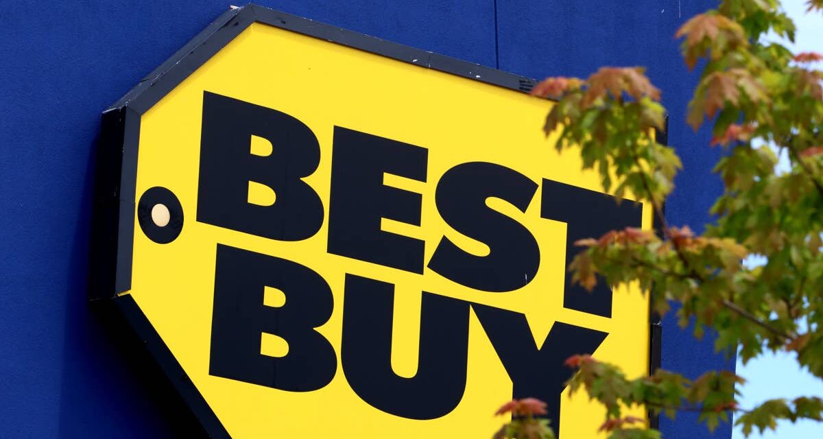 Best Buy CEO drops major consumer warning on her way out – TheStreet