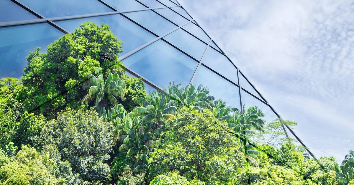 Shoppers want sustainable retail, and they’re watching closely