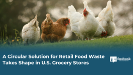 food-waste-animal-feed-Amazon-Mill-livestock.png
