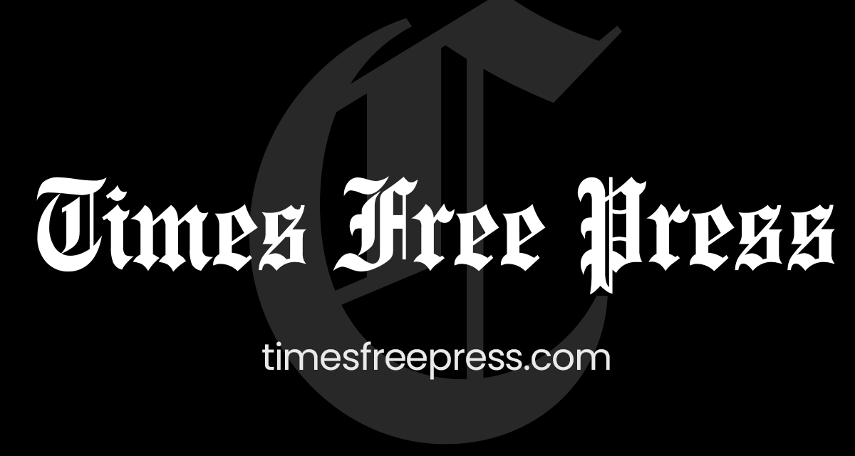 From ‘Moana’ to ‘Leviticus,’ here are summer movie breakouts you need to know | Chattanooga Times Free Press
