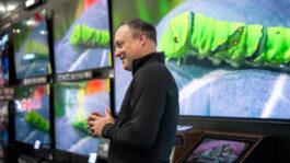 Best Buy banking on next-gen TVs to spur shoppers to upgrade 6a48694cc1674.image_.jpg