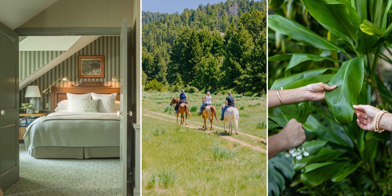 10 Hotels Helping Us Learn New Skills, From Jewelry-Making to Falconry