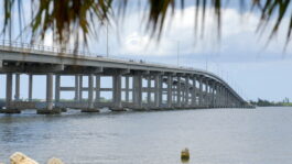 urlhttps3A2F2Fsource-media-brightspot.s3.us-east-1.amazonaws.com2Fd52F3b2F597236d541408281d92e16e43fa12Fpalm-bay-florida.jpeg
