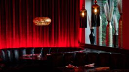 Sfuzzi_AlisonMcLean_Interior_10