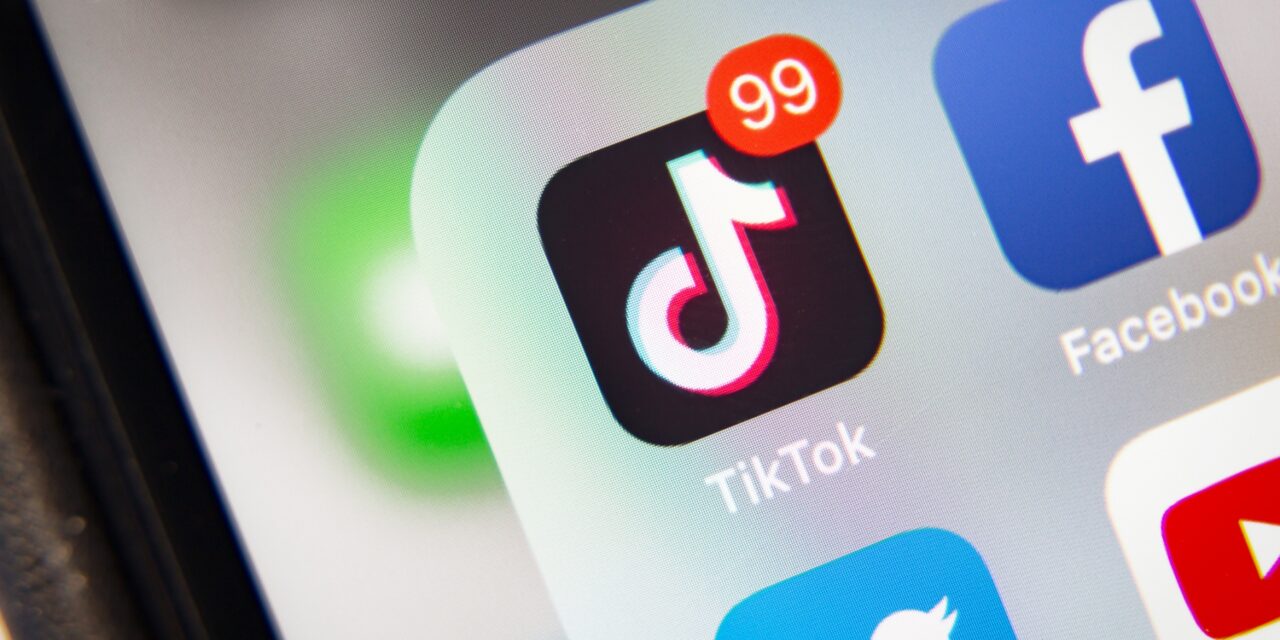 Meta’s ads asked TikTok to follow its lead on safety. TikTok rejected them. – Tubefilter