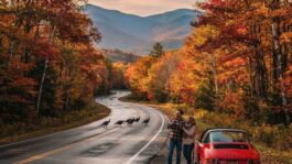us-fall-travel-trends-2026-americans-plan-trips-despite-rising-costs